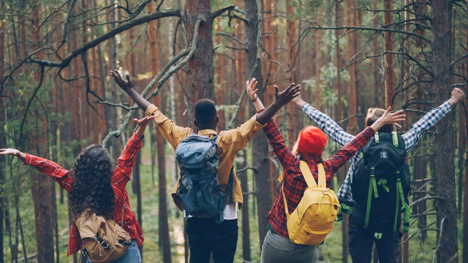 vitaly gariev ikmovmi dfk unsplash